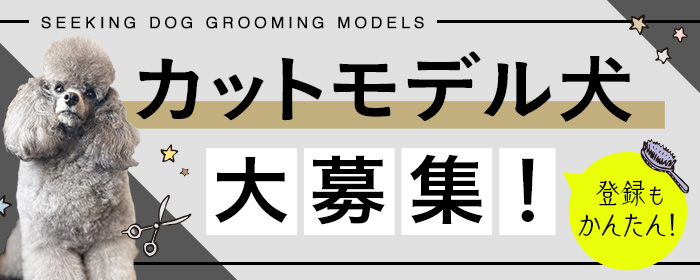 カットモデル犬 大募集！