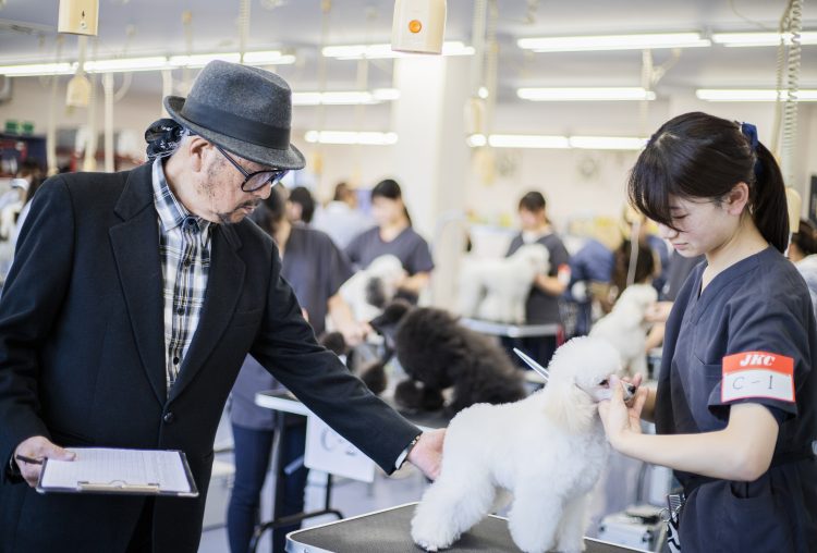 来校型 トリミングspecial 群馬動物専門学校